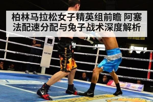 柏林马拉松女子精英组前瞻 阿塞法配速分配与兔子战术深度解析