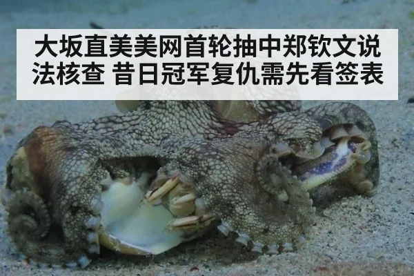 大坂直美美网首轮抽中郑钦文说法核查 昔日冠军复仇需先看签表
